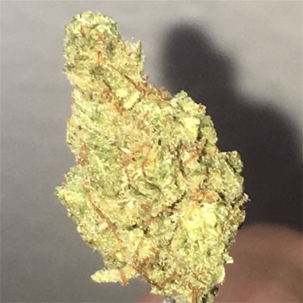 Agent Orange Cannabis Strain Information Leafly