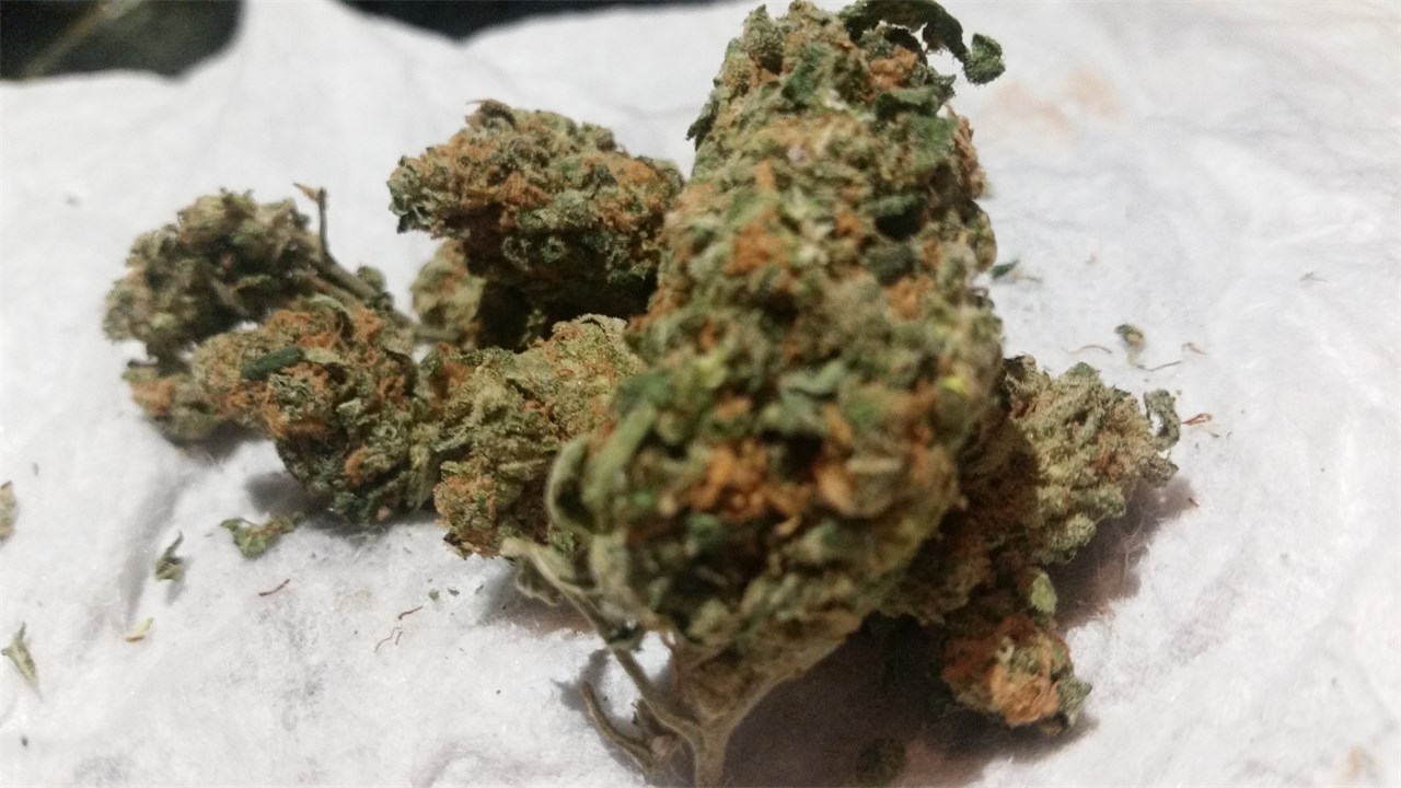 Foto de la variedad AK-48