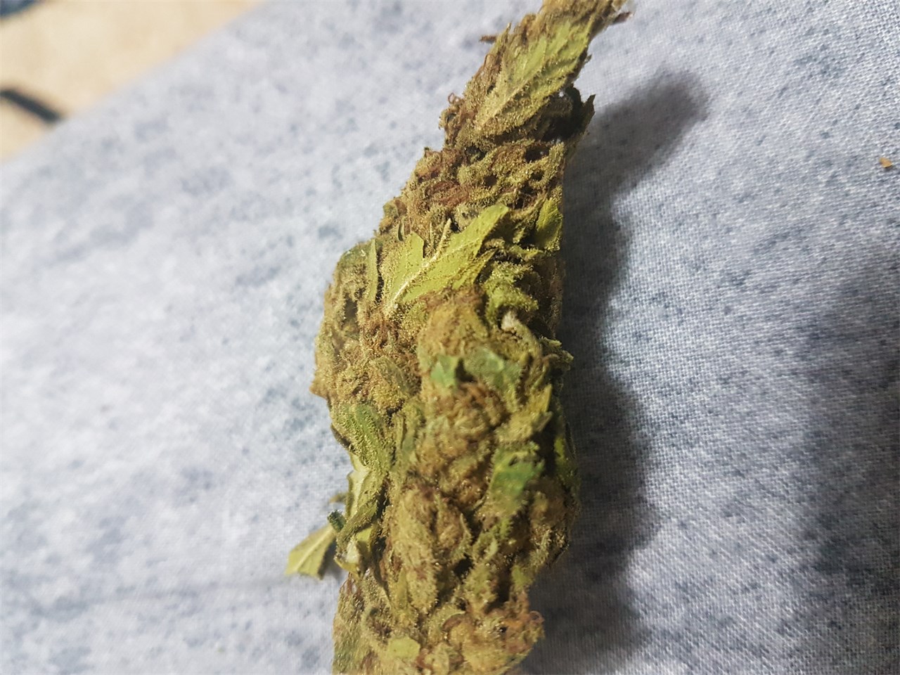 Alaska