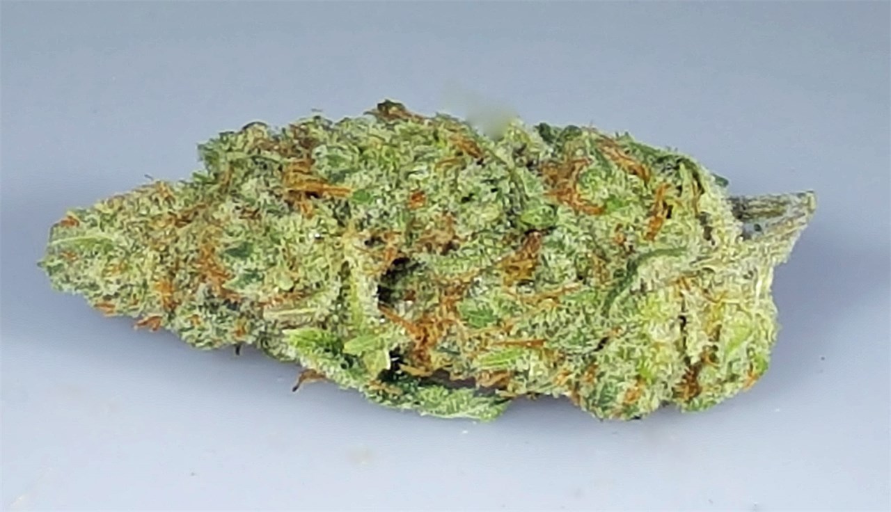 Foto de la variedad Alaskan Ice