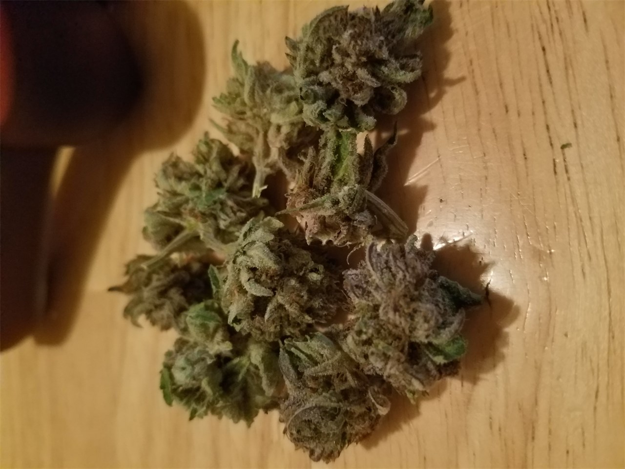 Foto de la variedad Alien Bubba