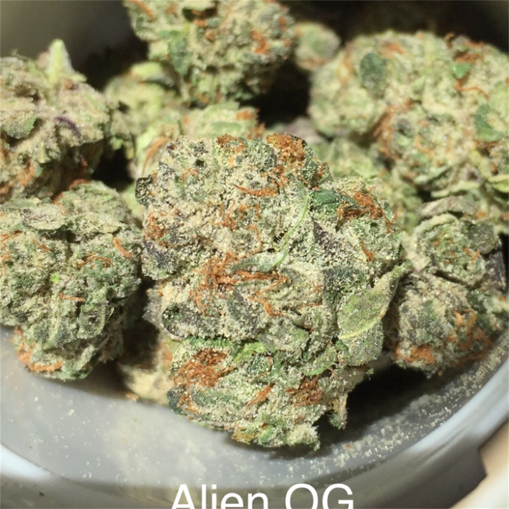 Foto de la variedad Alien OG