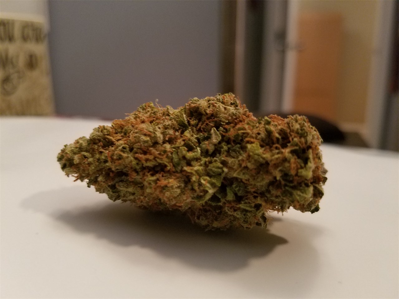 Foto de la variedad Alien Rock Candy