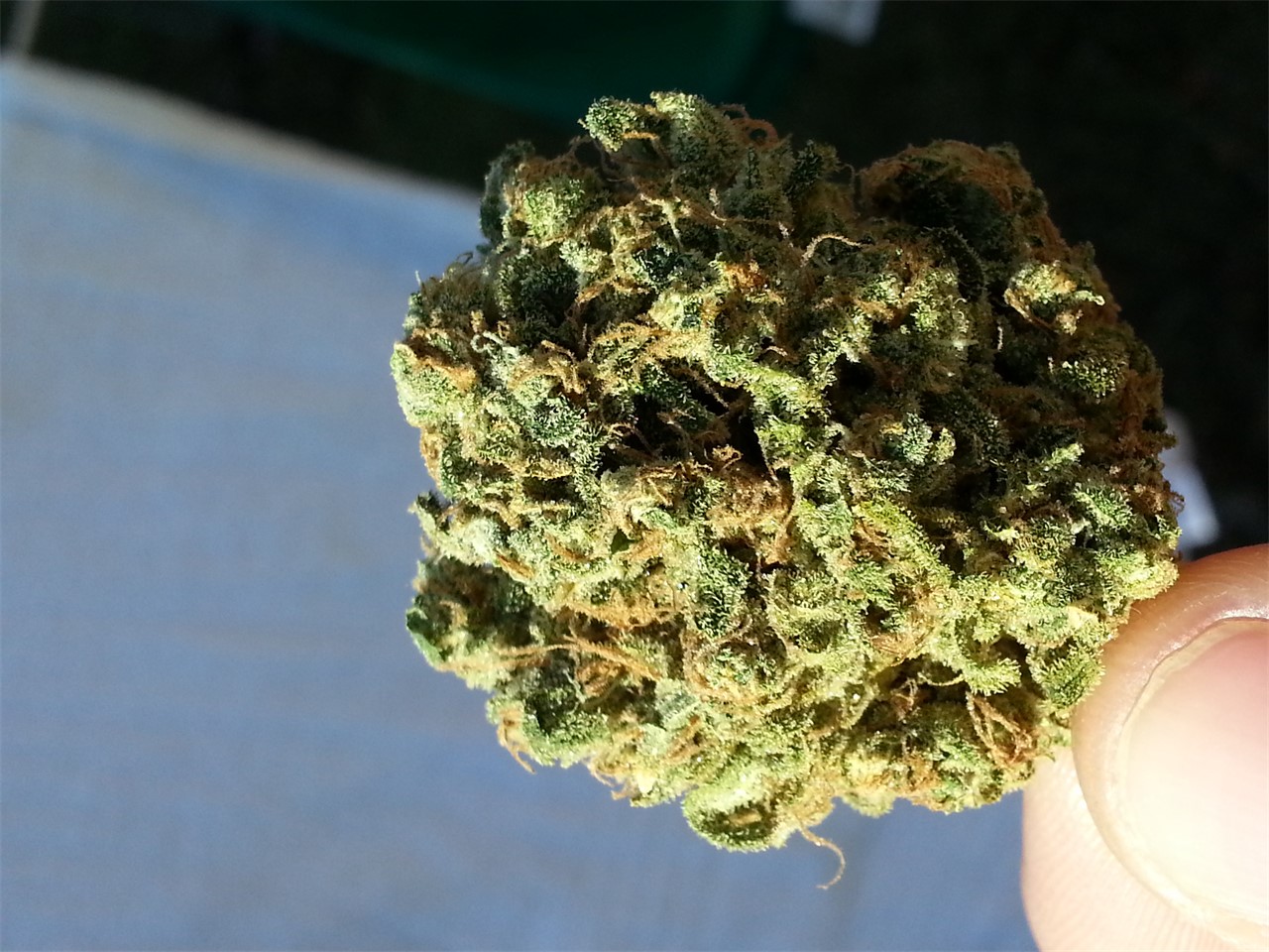 Alien Sour Apple