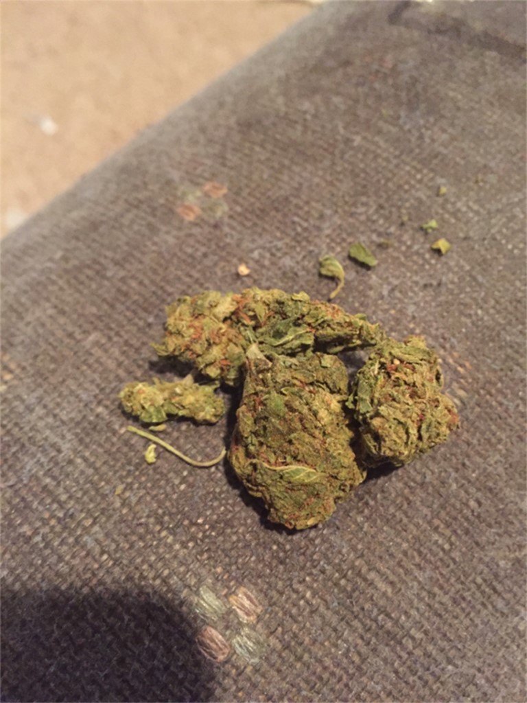 Foto de la variedad Alien StarDawg