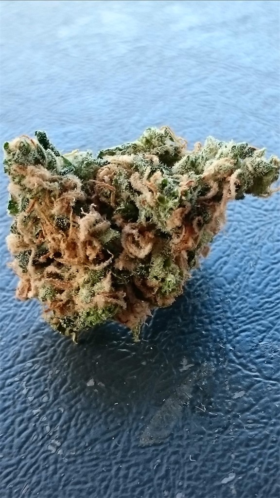 Aloha