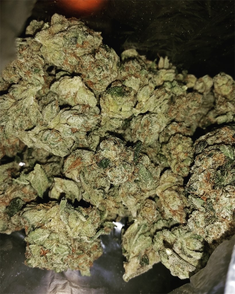 Foto de la variedad Alpha OG