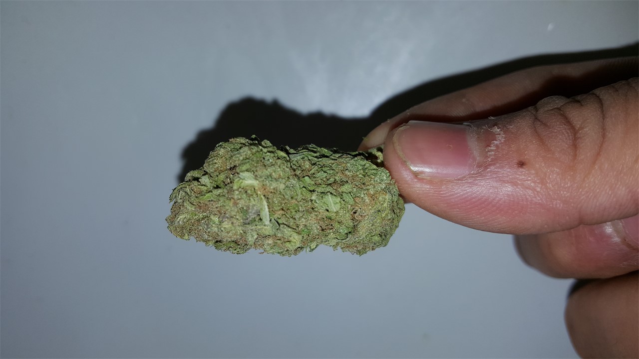 Foto de la variedad Amethyst