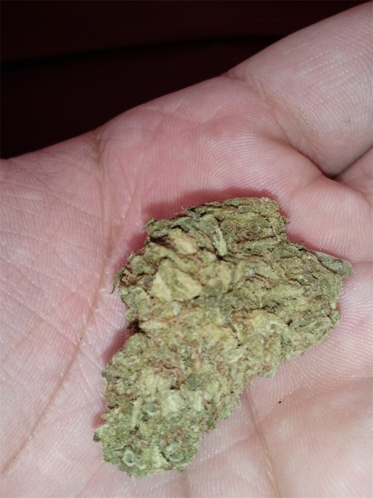 Ancient Kush