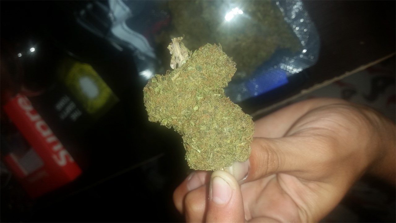 Ape Shit