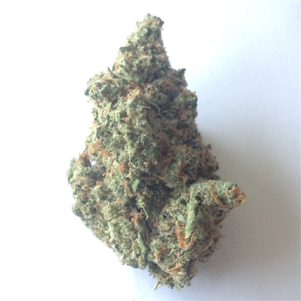 Foto de la variedad Apple Jack