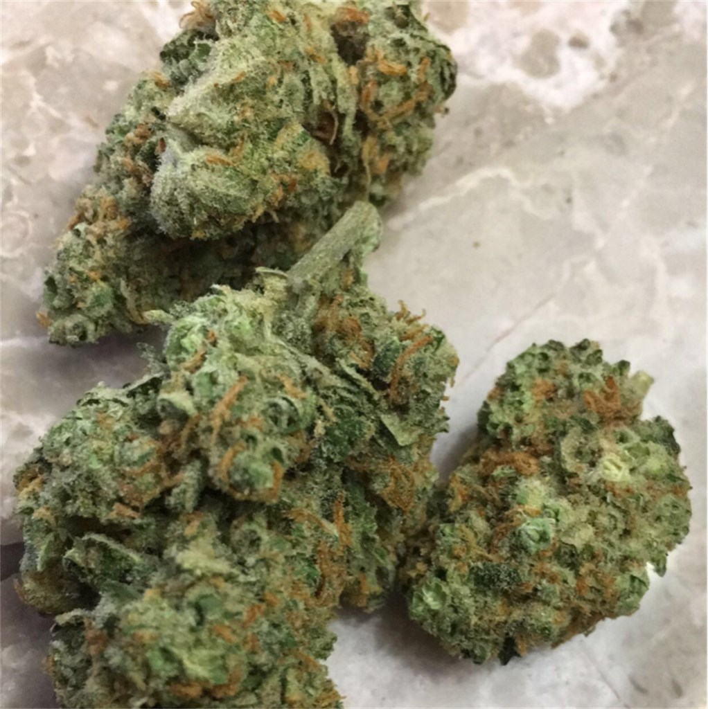 Foto de la variedad Area 51