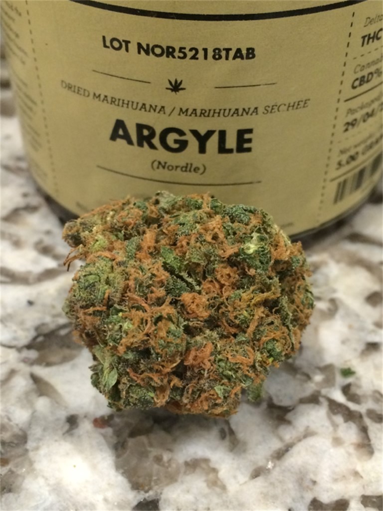 Foto de la variedad Nordle