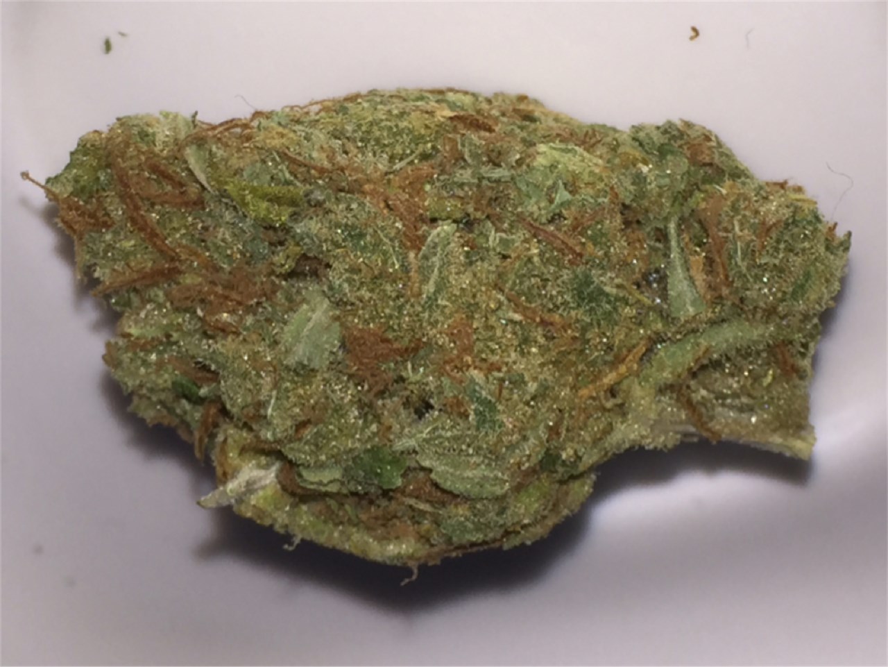 Arjans Strawberry Haze