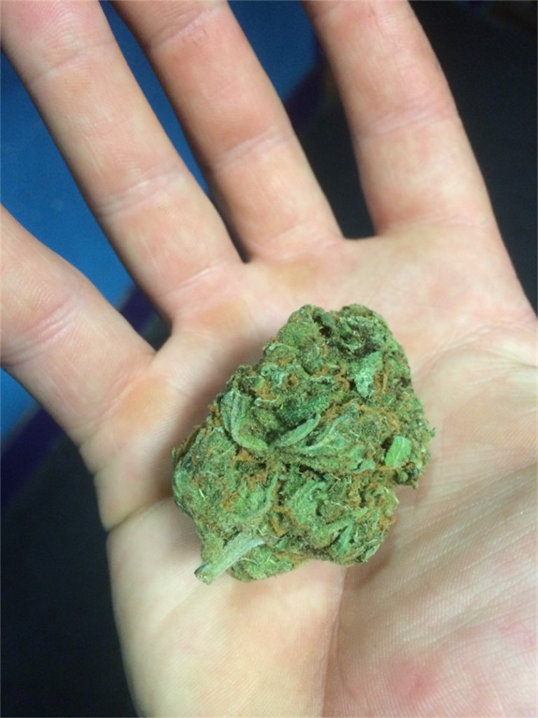 Foto de la variedad Arjan's Ultra Haze #1