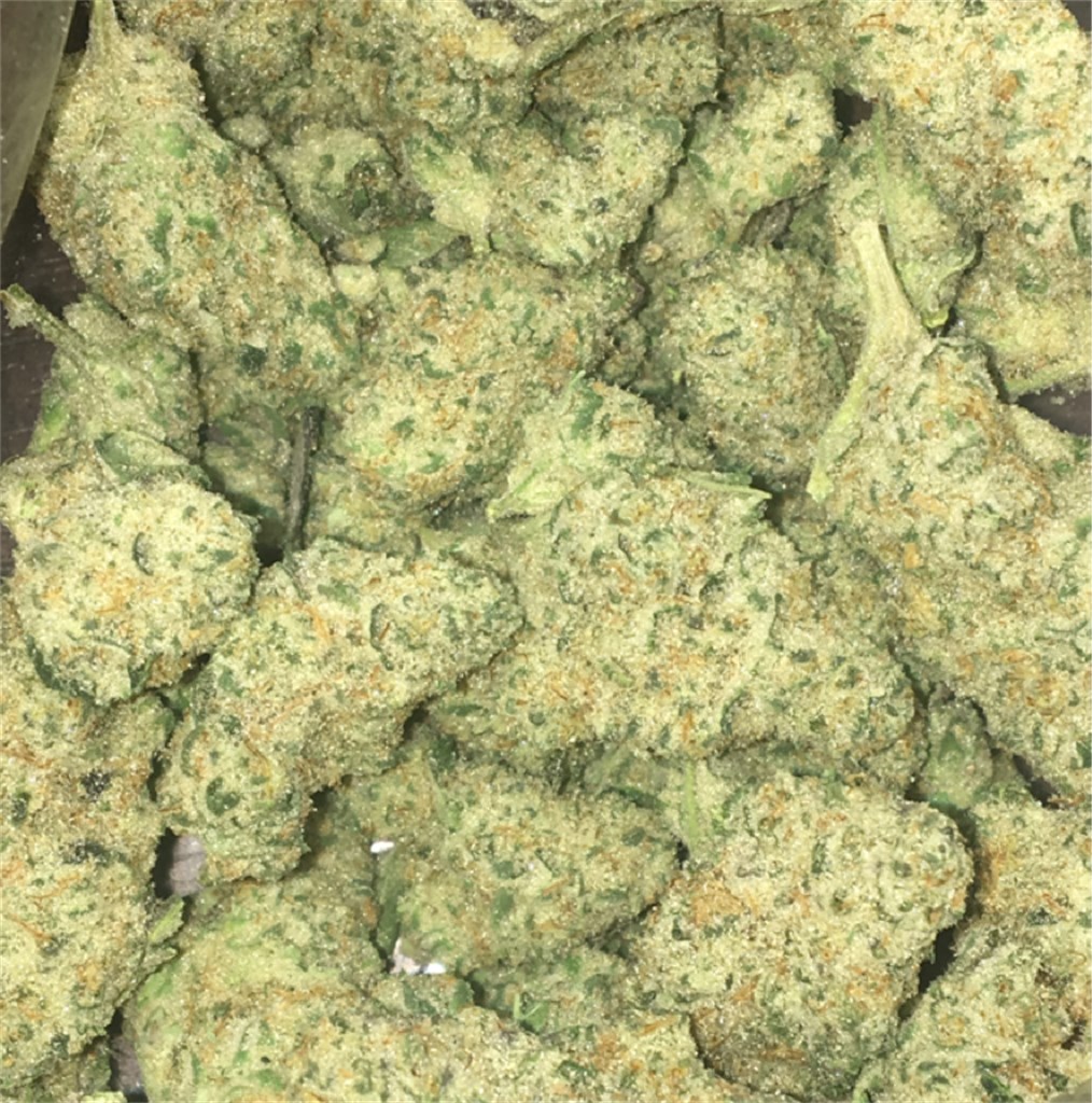 Foto de la variedad Aspen OG