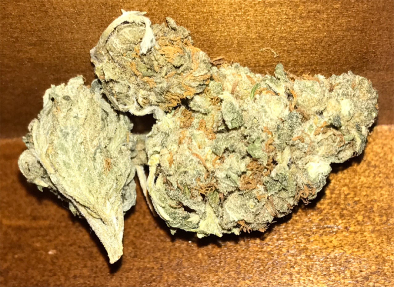 Foto de la variedad Avalon