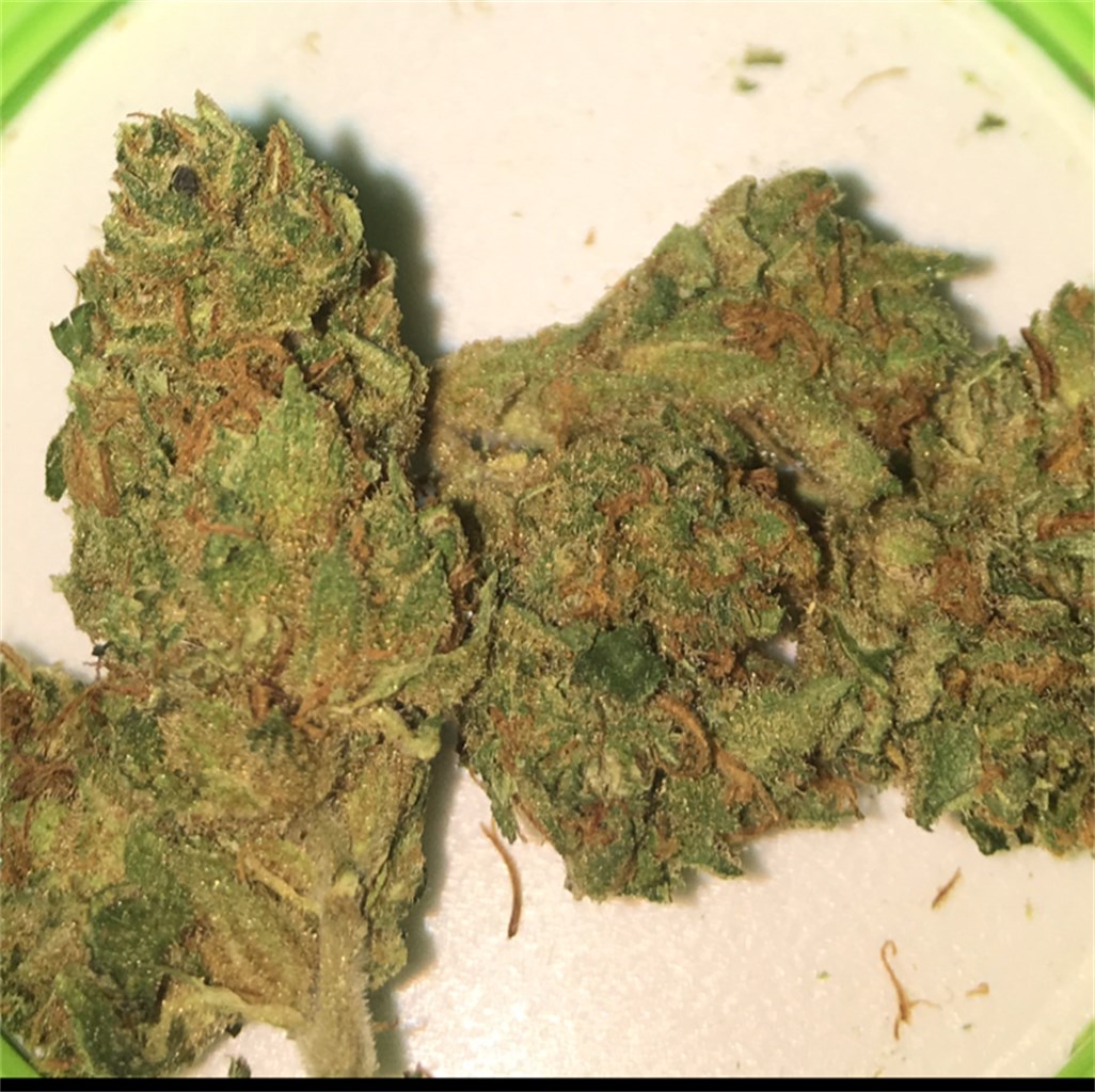 Foto de la variedad Avidekel