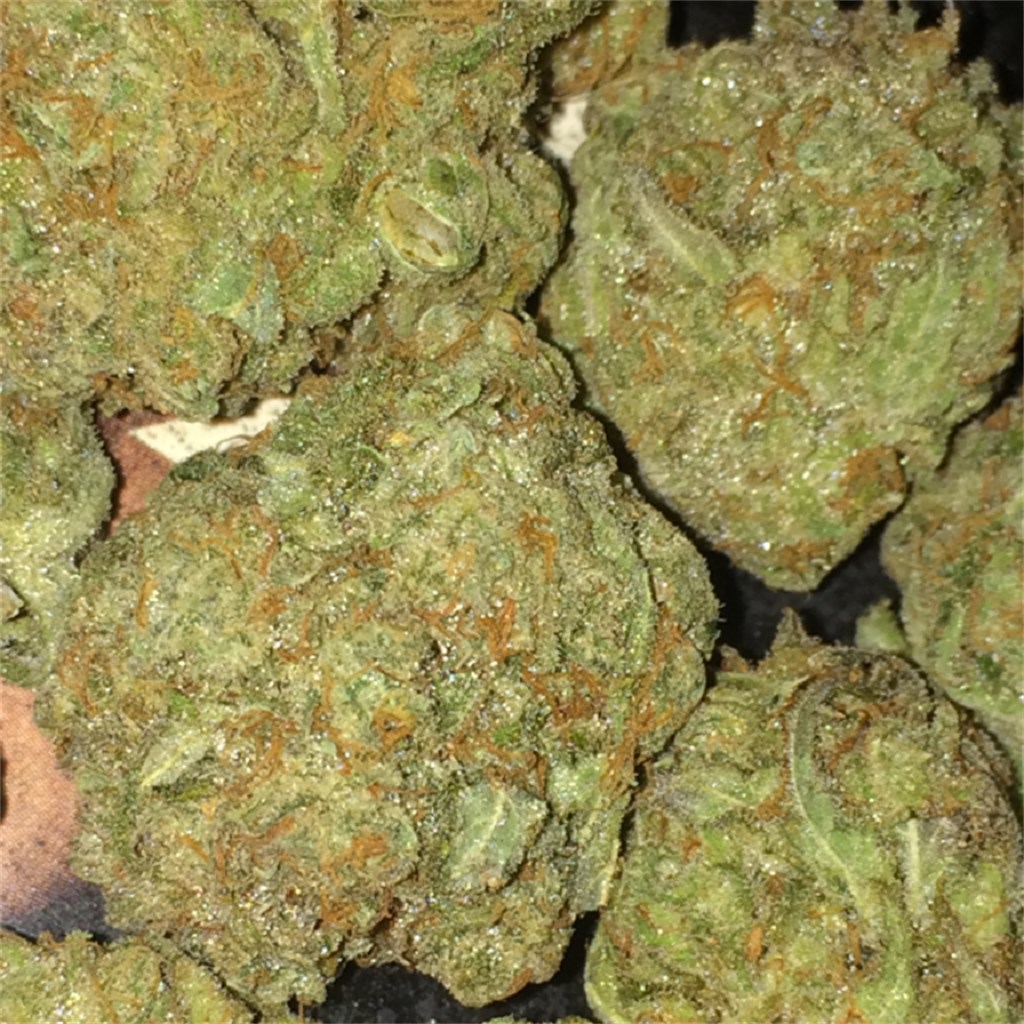 Ayahuasca Purple