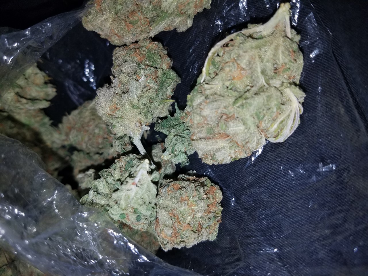 Dirty Banana Strain Review