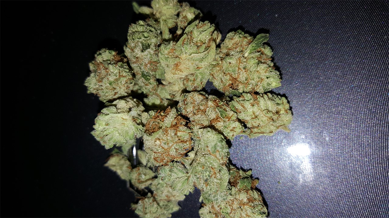 Foto de la variedad Bella Donna