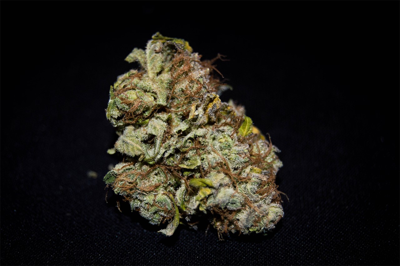 Berry Bomb