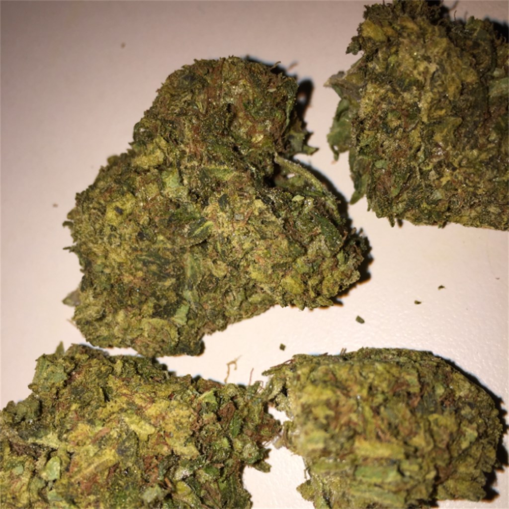 Foto de la variedad Big Kush