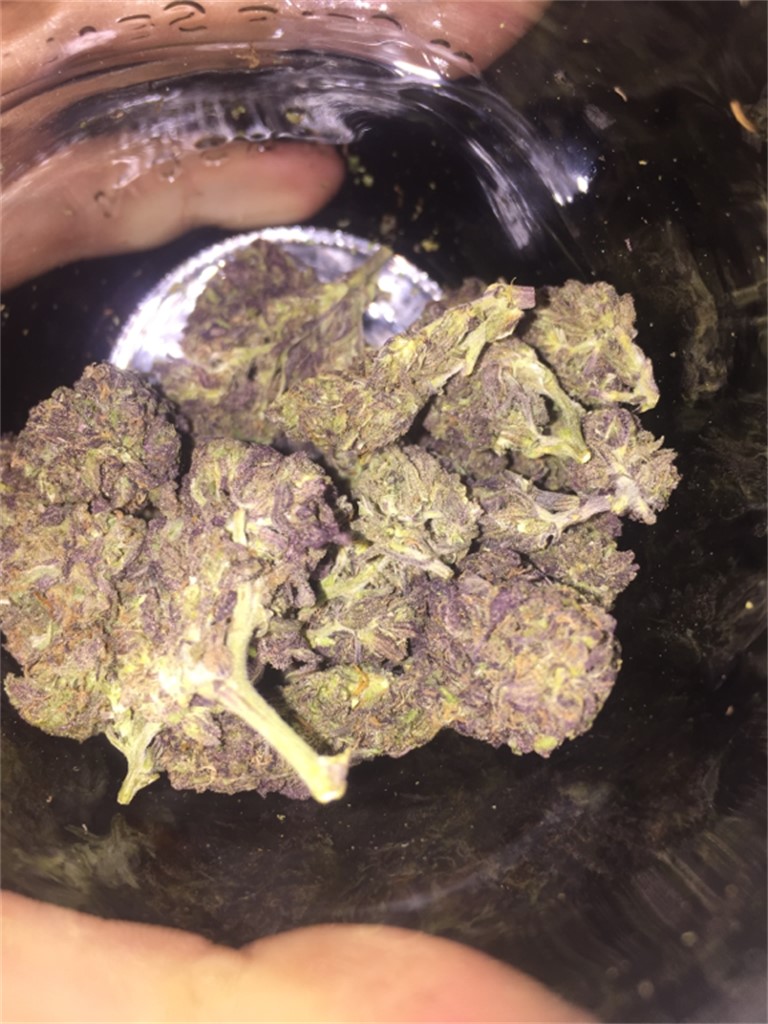 Foto de la variedad Big Skunk Korean