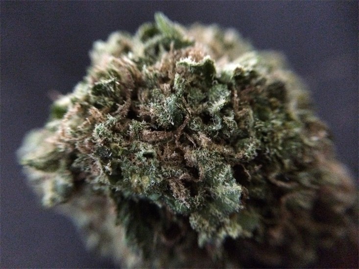 Big Sky OG
