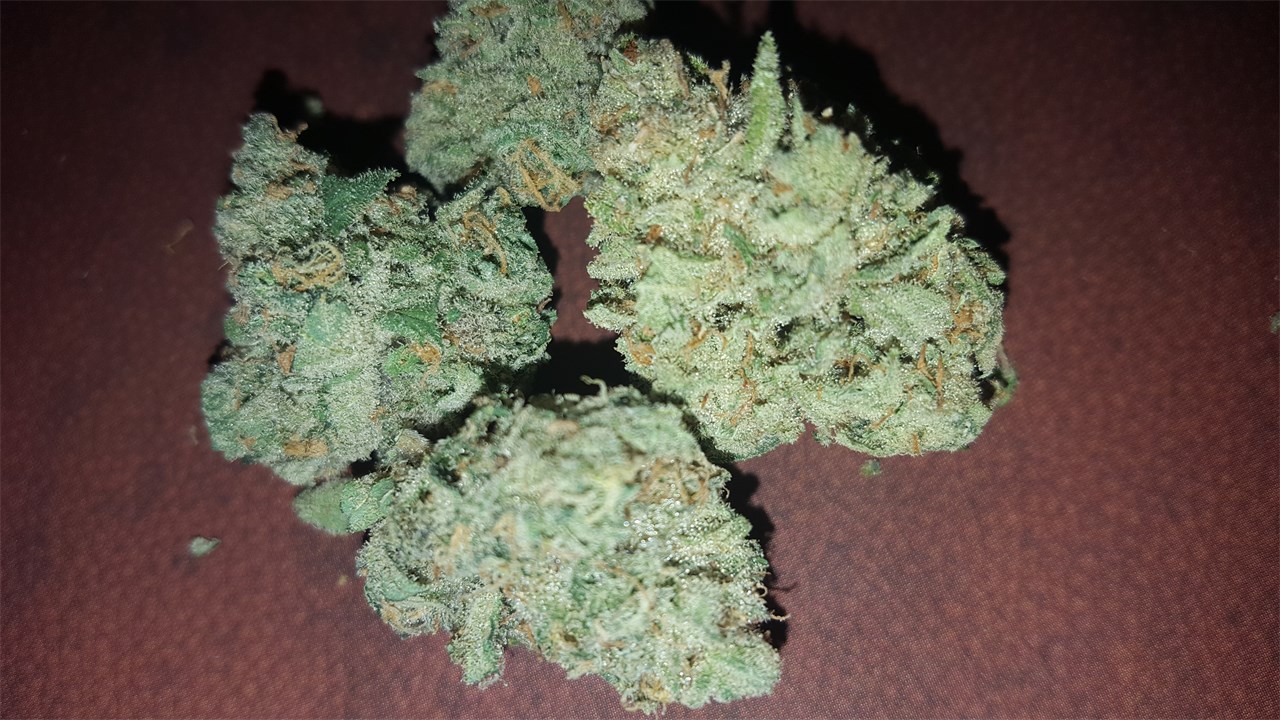 Foto de la variedad Big Smooth