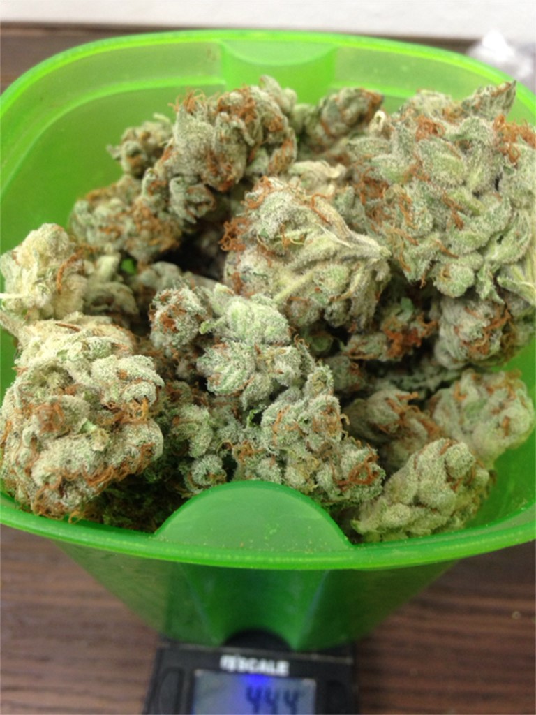 Foto de la variedad Big White