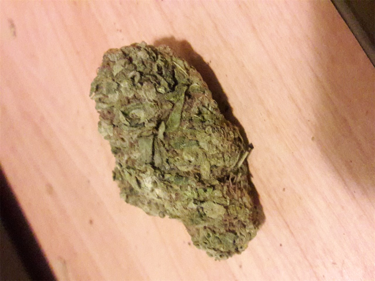 Foto de la variedad Bio Diesel