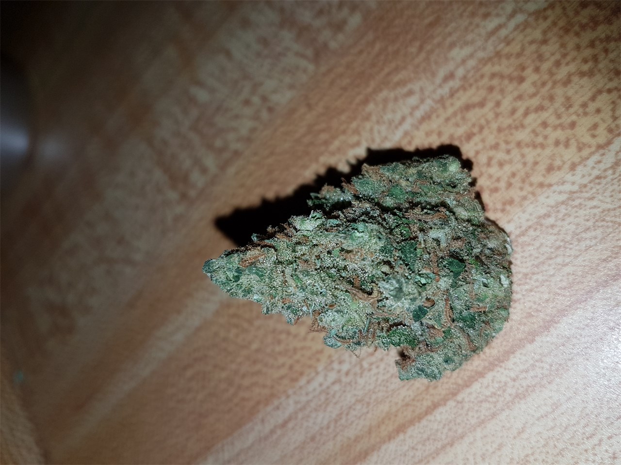 Foto de la variedad Jack Herer