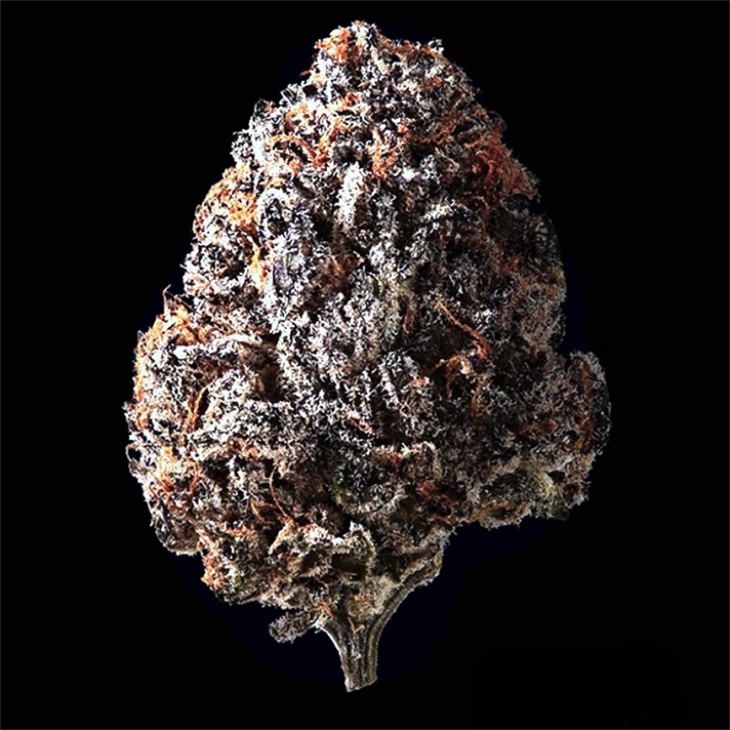 Black Cherry Pie