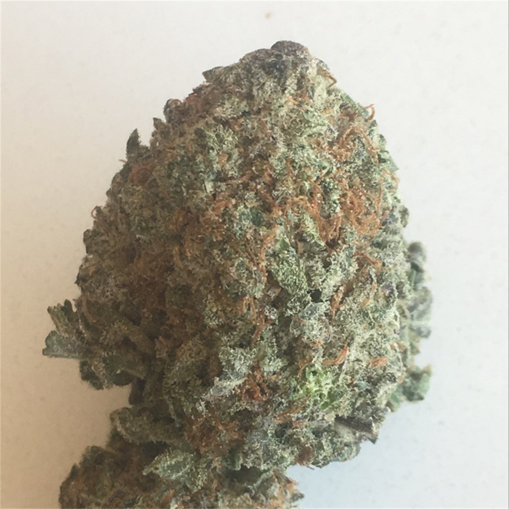 Foto de la variedad Black Diamond OG