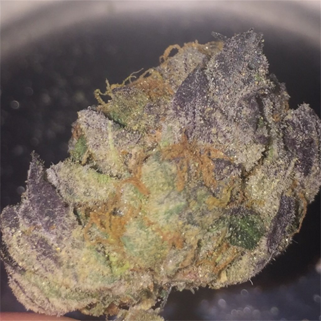 Black Diesel