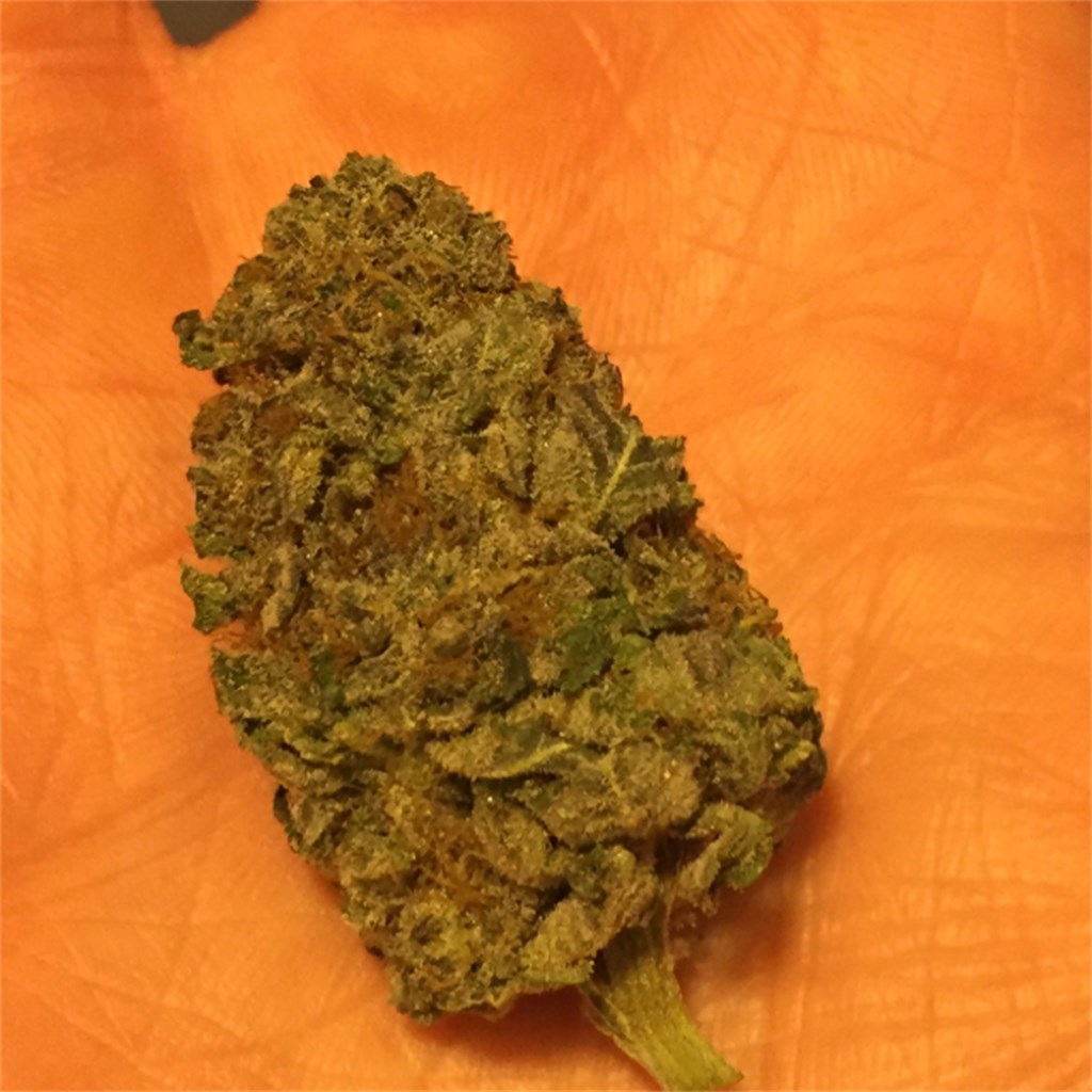 Foto de la variedad Black Diesel