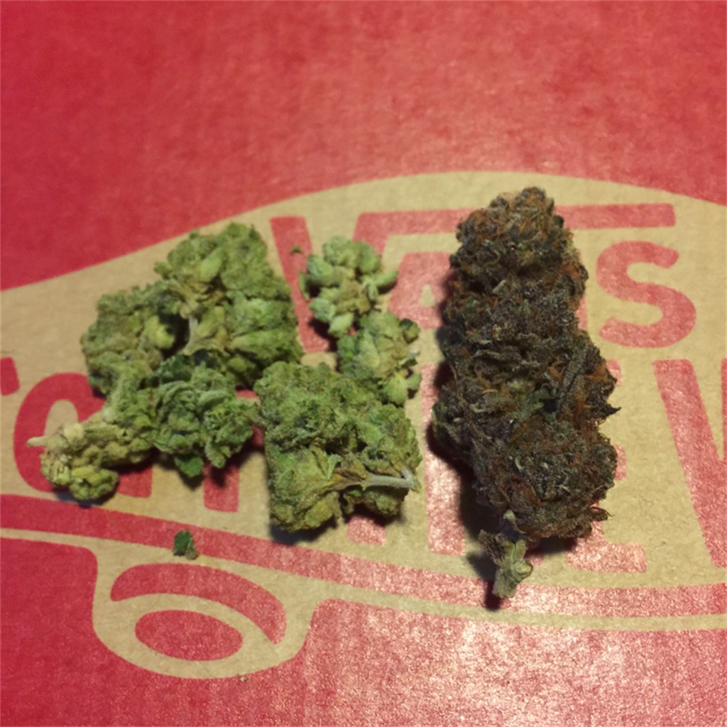 Foto de la variedad Black Haze