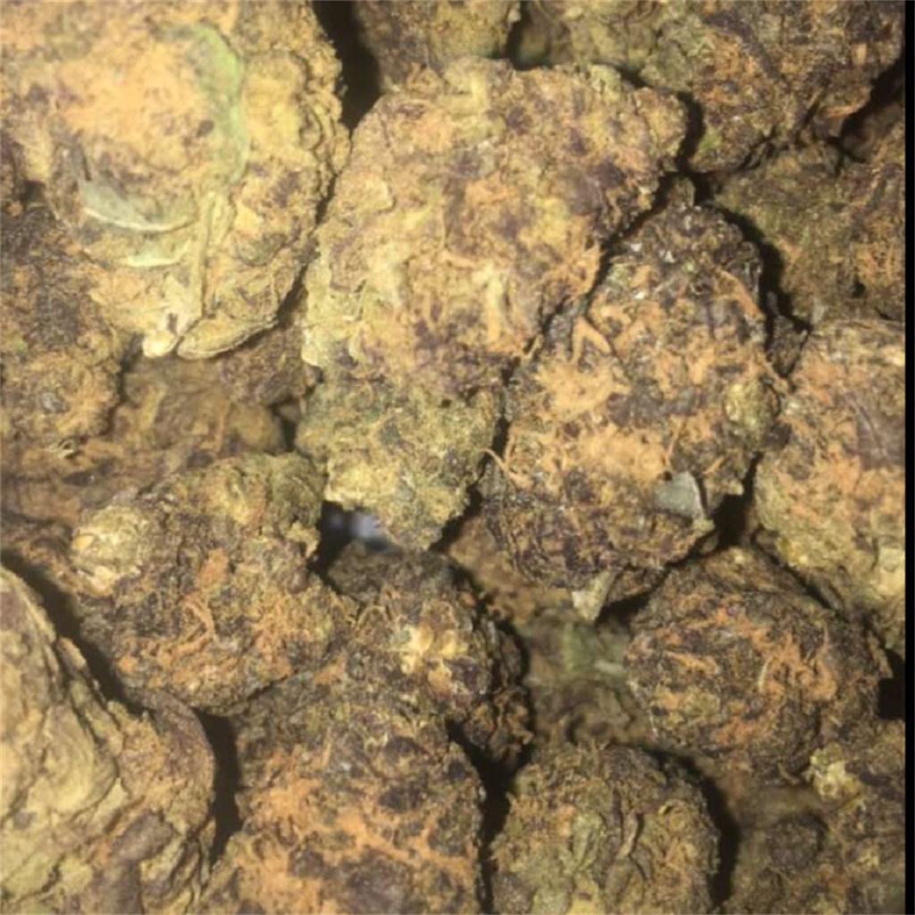 Black Mamba