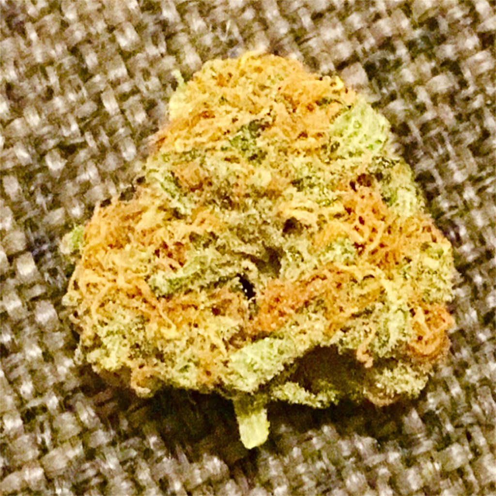 Foto de la variedad Black Russian