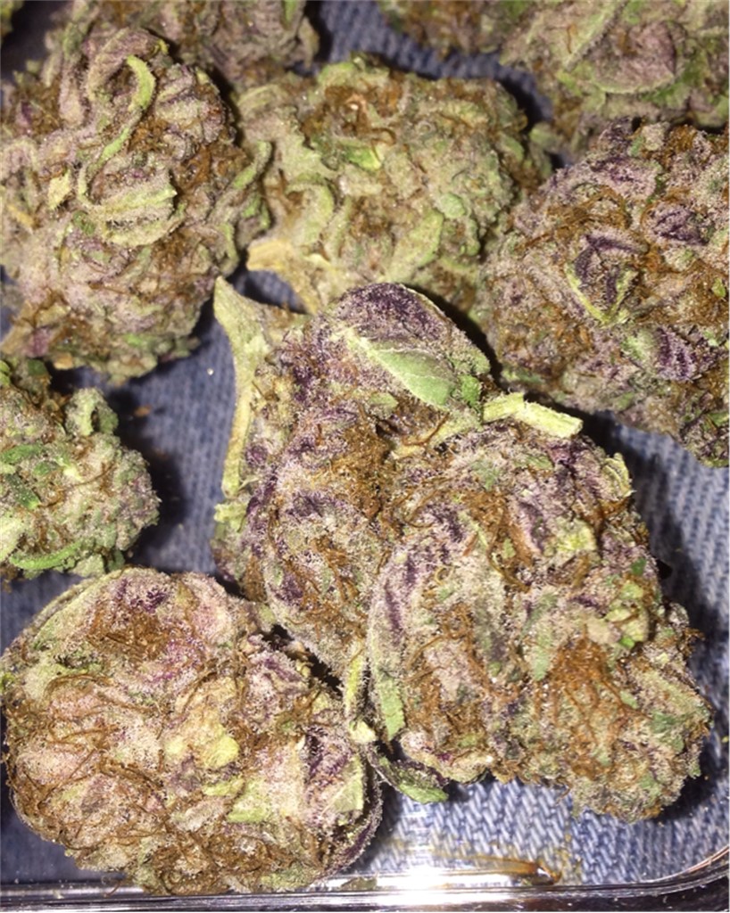 Blackberry Diesel