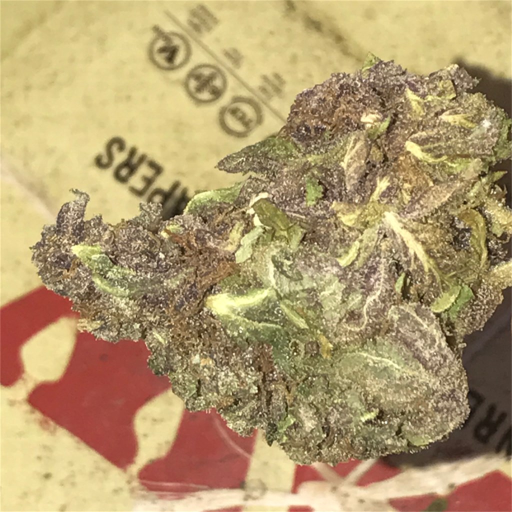 Foto de la variedad Blackberry Diesel