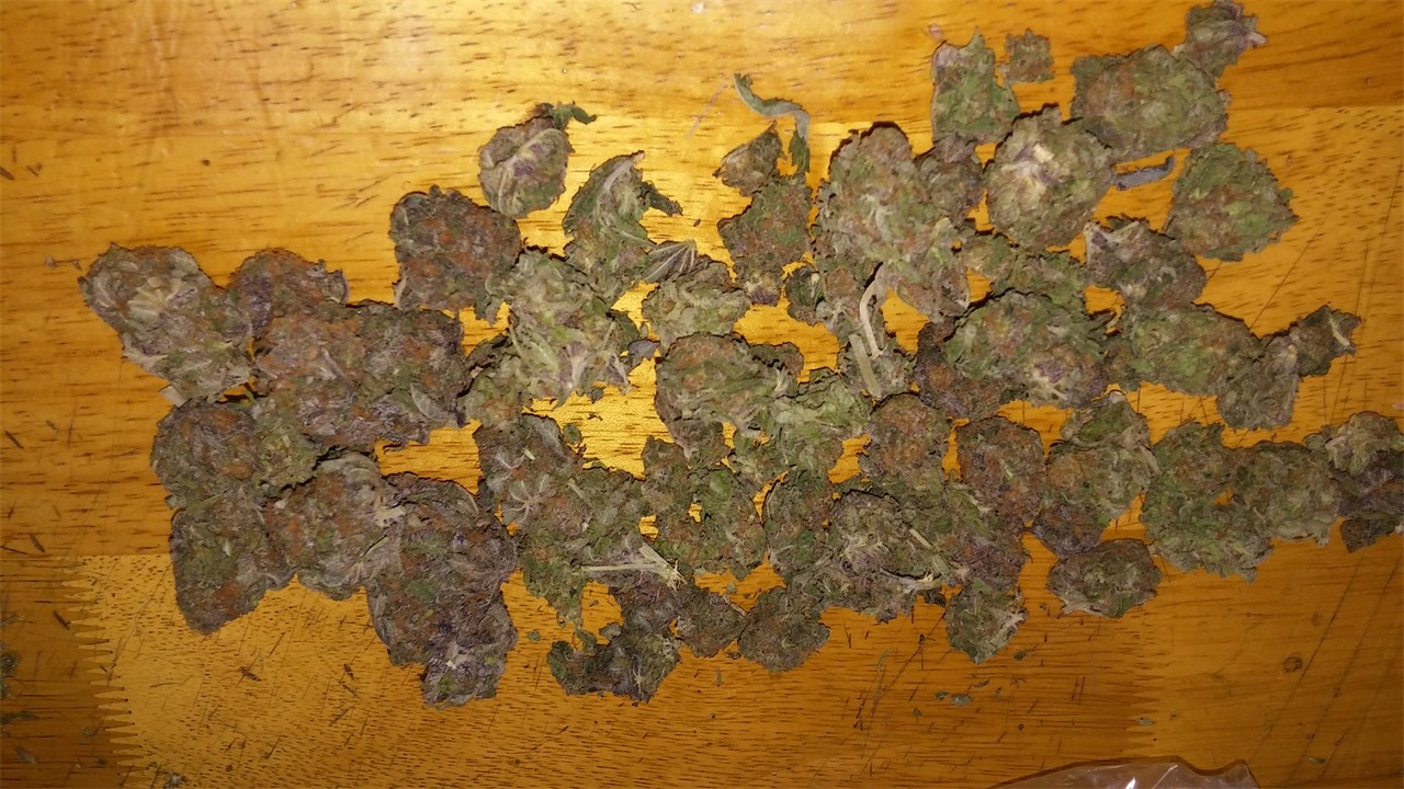 Blackberry Pie