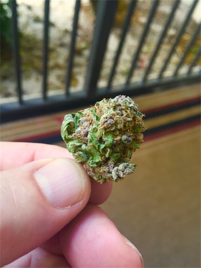 Blackberry x Blueberry