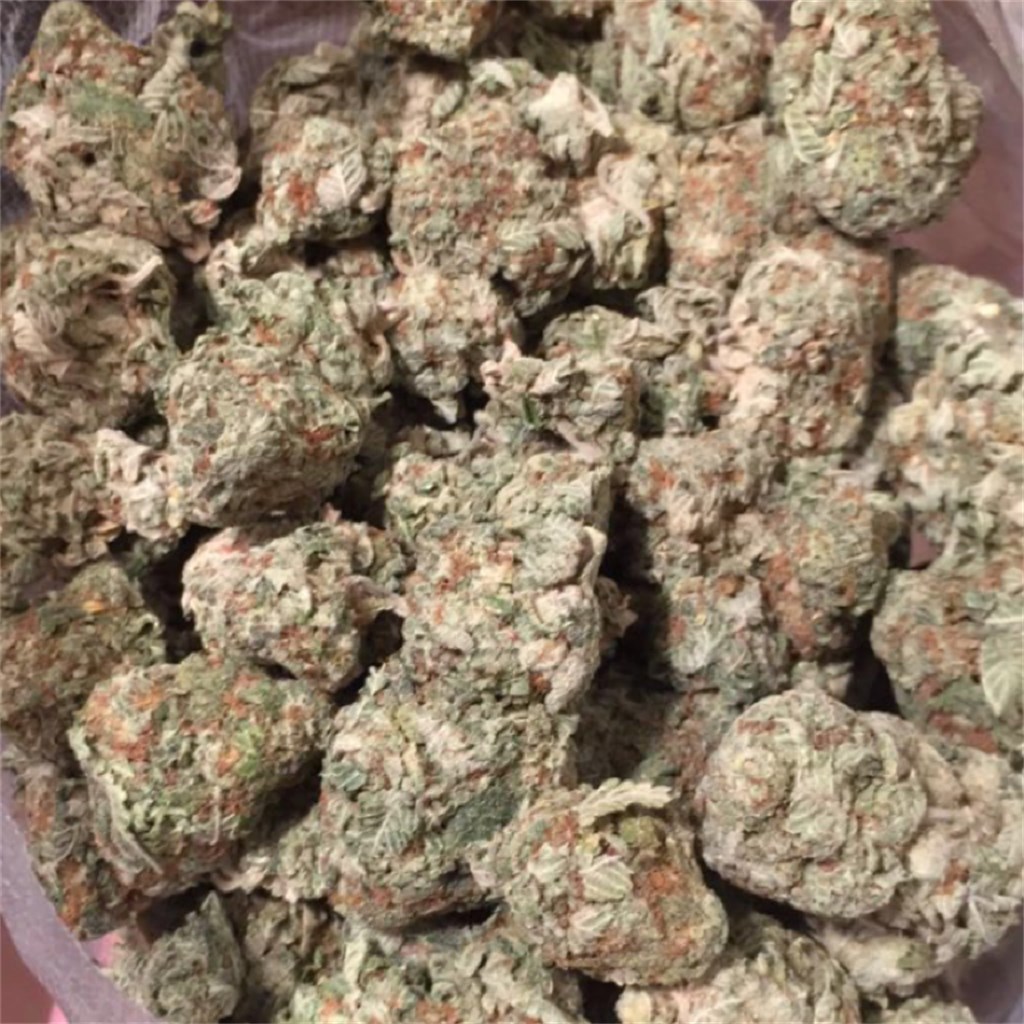 Foto de la variedad Black Berry