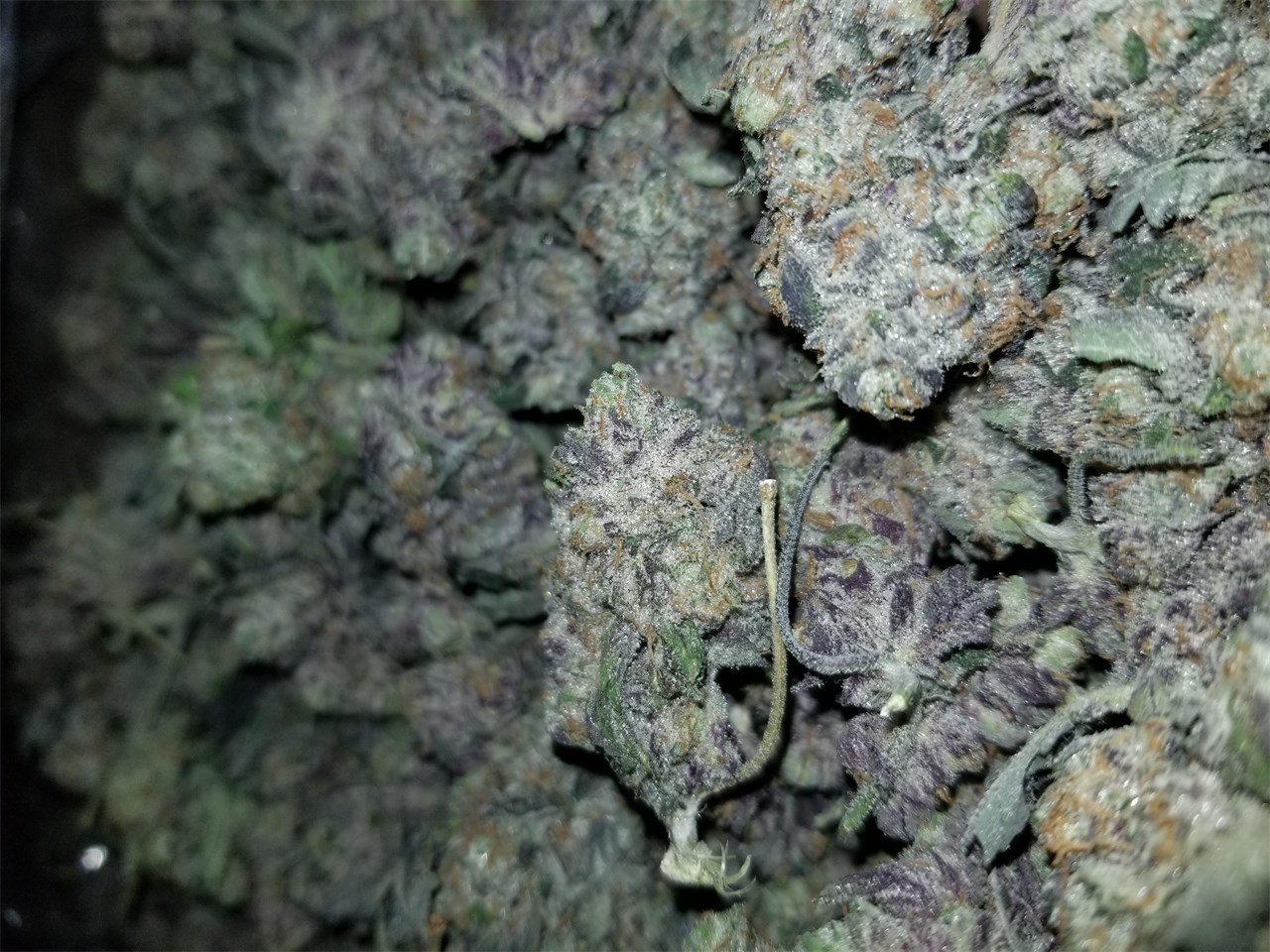 Blackwater