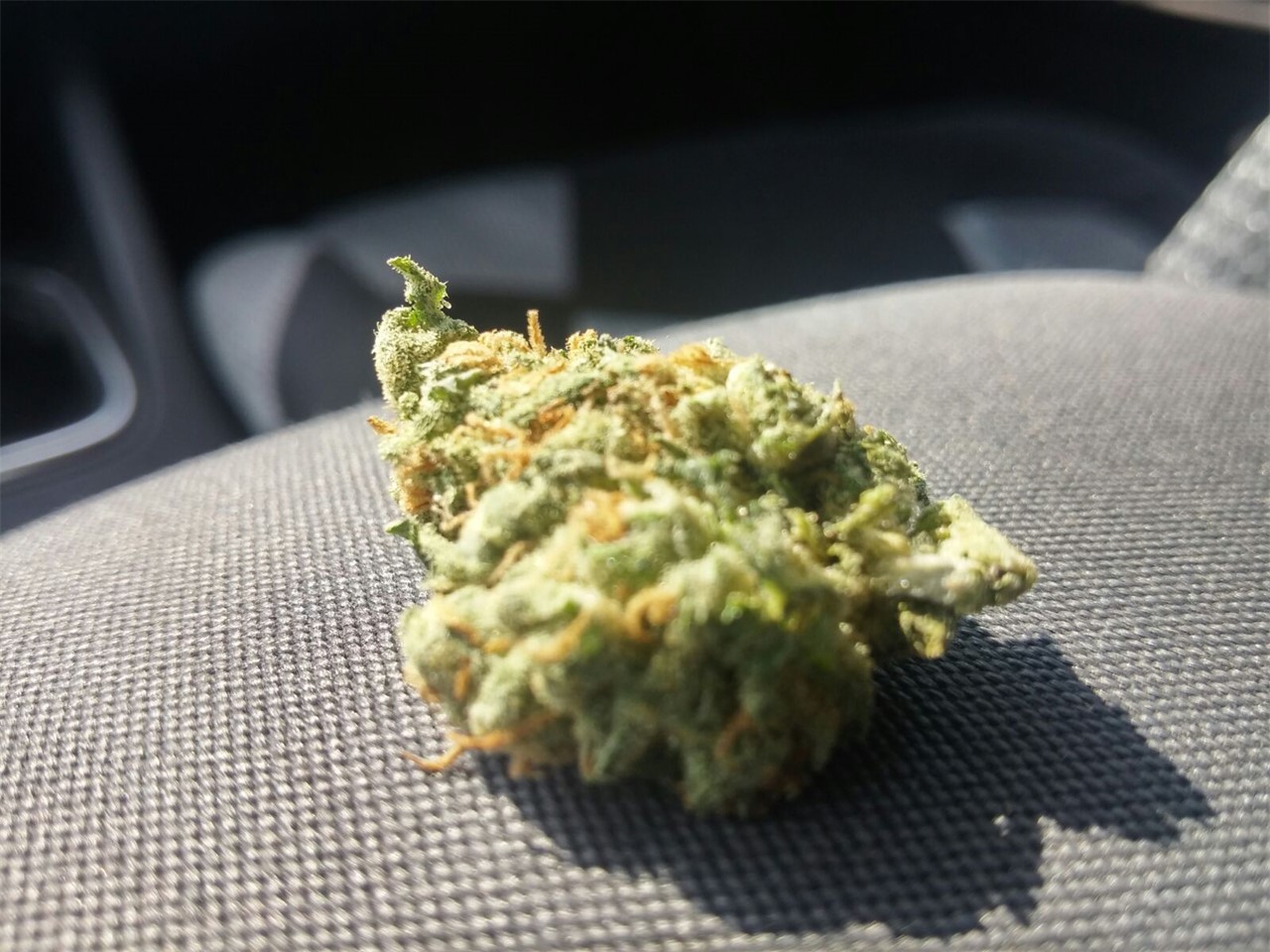 Blaze