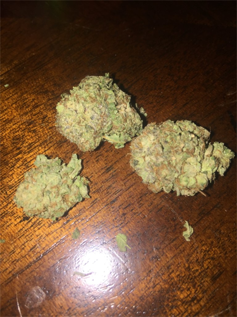 Foto de la variedad Blaze