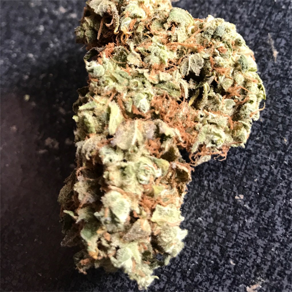 Foto de la variedad Blockhead