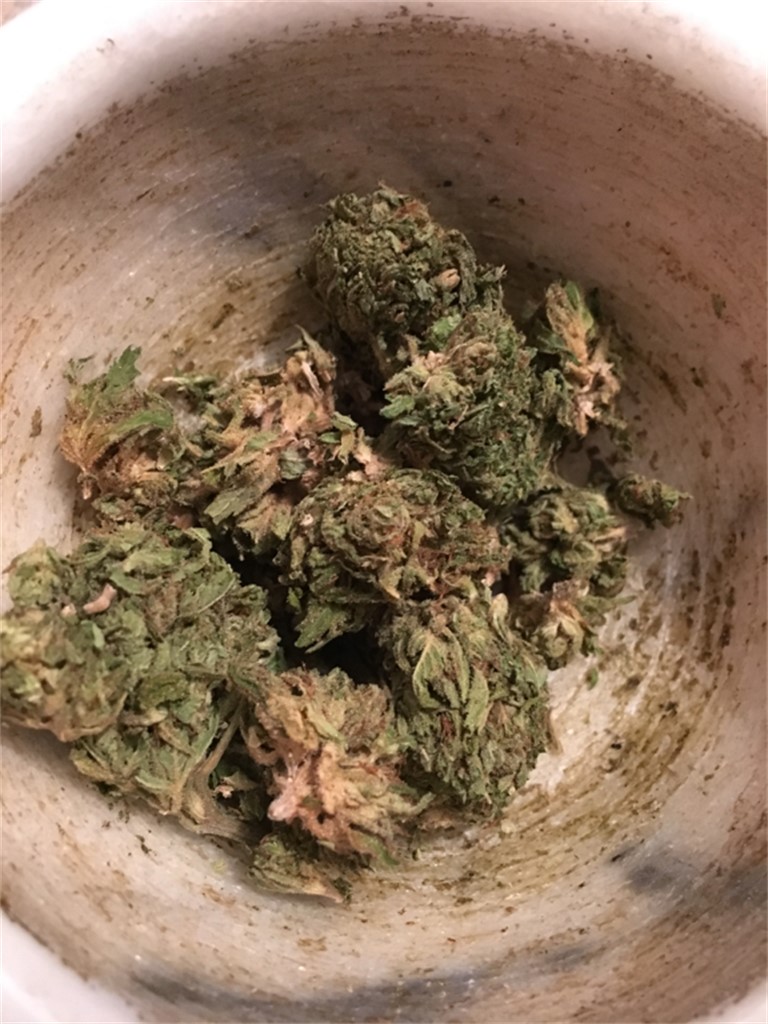Foto de la variedad Blowfish
